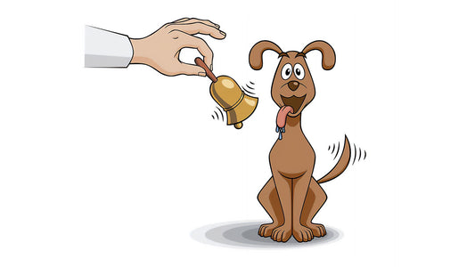 Learning and Conditioning Part 1: Classical Conditioning