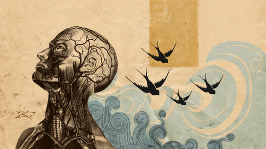 The Modern Man's Brain