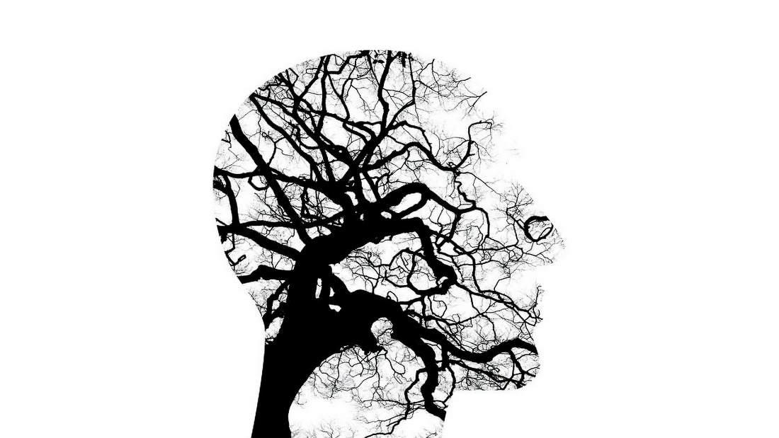 Personality Disorders: An Overview