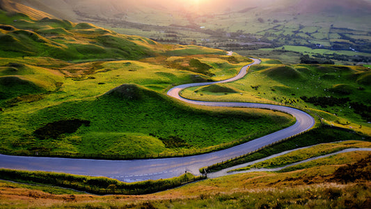 Finding Stability in the Instability of Life