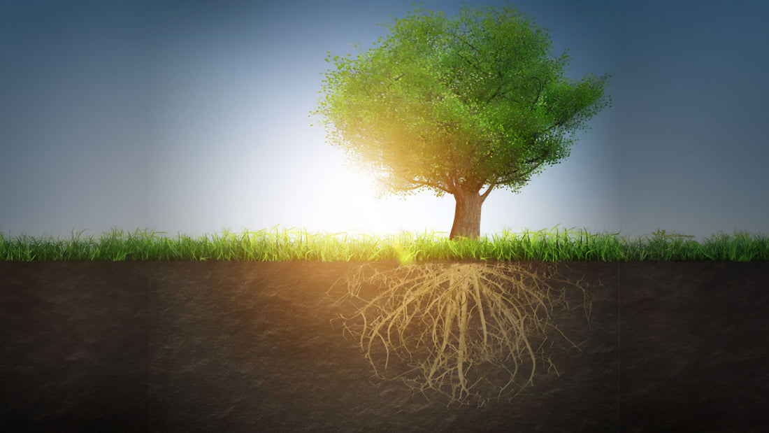 Grounding: How to Use Our Senses to Calm Stress and Stay Present-Focused