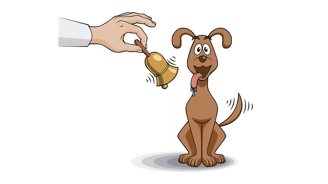 Learning and Conditioning Part 1: Classical Conditioning